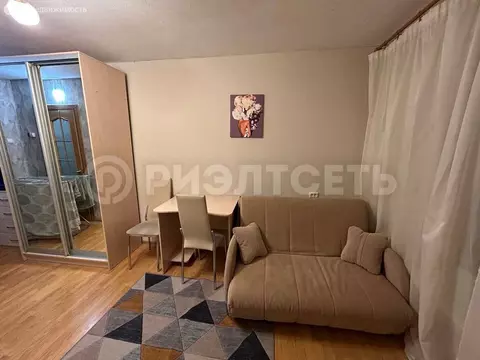 Квартира-студия: Мурманск, улица Академика Книповича, 21 (16.9 м)