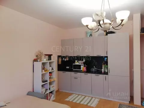 Студия Московская область, Люберцы городской округ, Жилино-1 пгт, 1-й ...