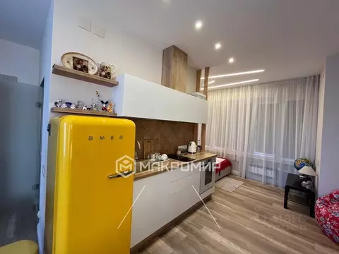 Студия Челябинская область, Чебаркульский муниципальный округ, д. ...