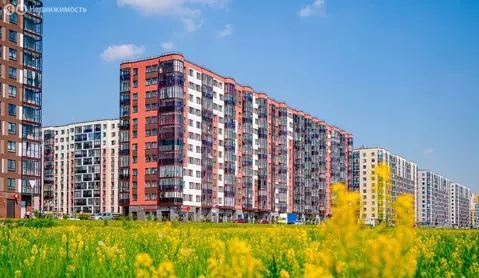 Квартира-студия: Бугры, Петровский бульвар, 25 (26 м)