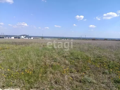 Участок в Воронежская область, Рамонский район, Новоживотинновское ...