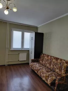 1-к кв. Санкт-Петербург пос. Шушары, просп. Новгородский, 8 (36.5 м)