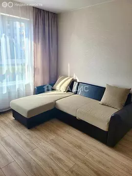 Квартира-студия: деревня Глухово, Романовская улица, 11 (22.9 м)