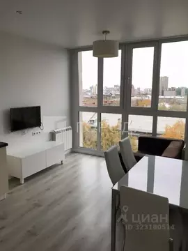 1-к кв. Новосибирская область, Новосибирск ул. Мичурина, 24 (40.0 м)