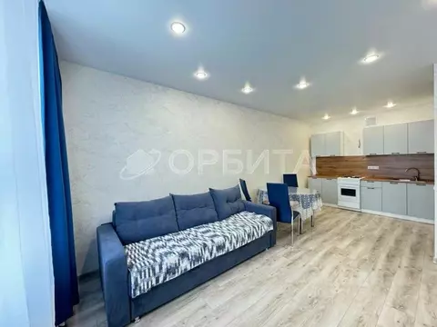 Студия Тюменская область, Тюмень ул. Василия Малкова, 10 (28.0 м)