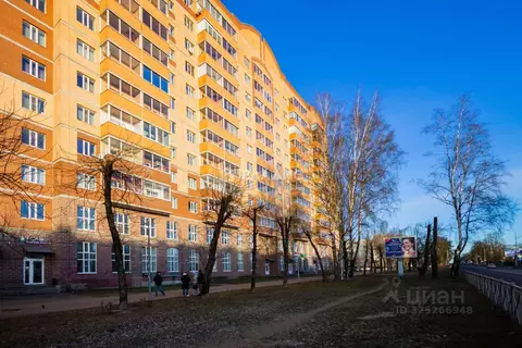 Помещение свободного назначения в Ленинградская область, Кингисепп ...