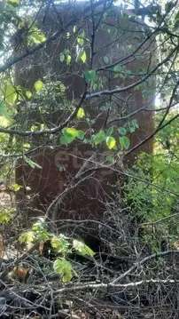 Участок в Ростовская область, Ростов-на-Дону 9-й Лодочный пер. (4.8 ...