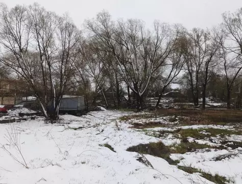 Участок в Московская область, Дмитровский муниципальный округ, с. ...