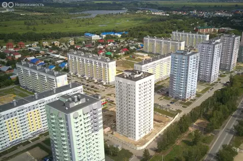 1-комнатная квартира: Тюмень, микрорайон Антипино, Беловежская улица, ...