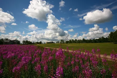 Участок в Ленинградская область, Ломоносовский район, Пениковское ...