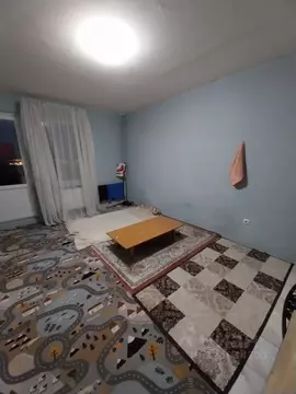 Студия Санкт-Петербург пос. Шушары, просп. Новгородский, 2к1 (24.7 м)