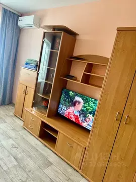 1-к кв. Еврейская автономная область, Биробиджан ул. ...