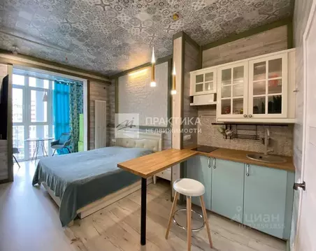 Студия Москва Внуковское поселение, ул. Летчика Ульянина, 7 (30.0 м)