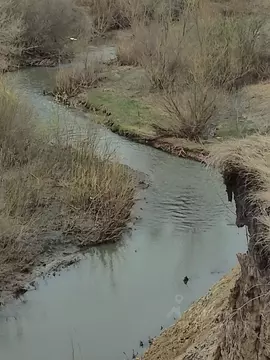 Дом в Ульяновская область, Цильнинский район, Тимерсянское с/пос, с. ...