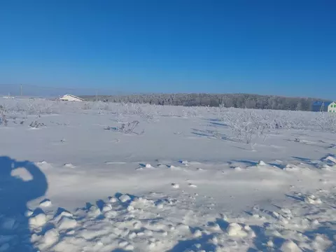 Участок в Московская область, Зарайск Зарайск муниципальный округ, ул. ...