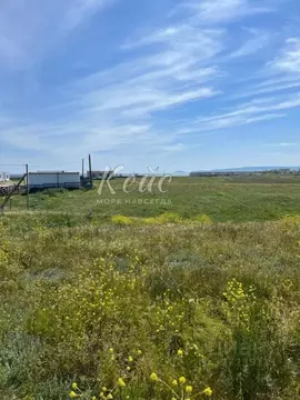 Участок в Крым, Ленинский район, Батальненское с/пос, Нептун СНТ  (6.0 ...