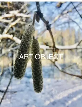 Коттедж в Московская область, Солнечногорск городской округ, пос. ...