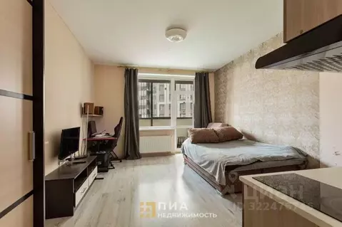 Студия Санкт-Петербург пос. Шушары, Школьная ул., 17 (25.0 м)