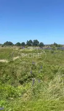Участок в Калининградская область, Зеленоградский муниципальный округ, ...