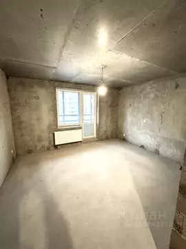 Студия Ленинградская область, Ломоносовский район, Аннинское городское ...