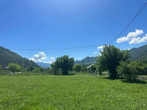 Участок в Алтай, Чемальский район, Узнезинское с/пос, с. Узнезя  ...