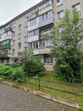 2-к кв. Ленинградская область, Всеволожск ул. Победы, 1 (47.0 м)