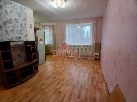 Студия Владимирская область, Карабаново г. Александровский ...