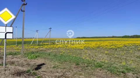 Участок в Московская область, Рузский муниципальный округ, д. Лидино  ...