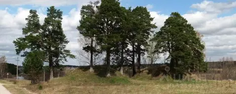 Участок в Новгородская область, Мошенской муниципальный округ, д. ...