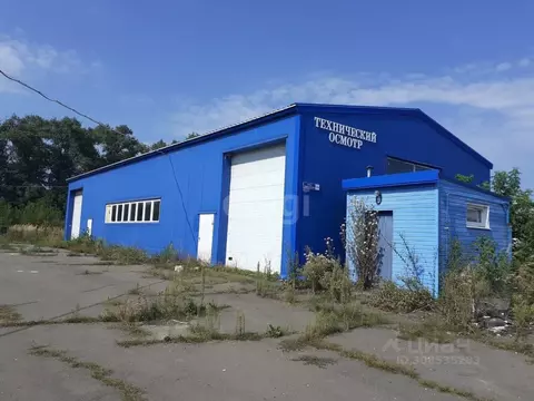 Помещение свободного назначения в Брянская область, Брасовский район, ...