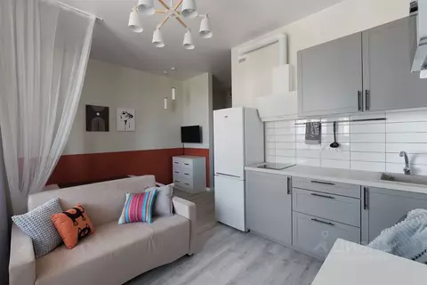 Студия Санкт-Петербург ул. Типанова, 23с1 (23.0 м)