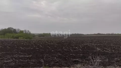 Участок в Белгородская область, Белгородский район, Дубовское с/пос, ...