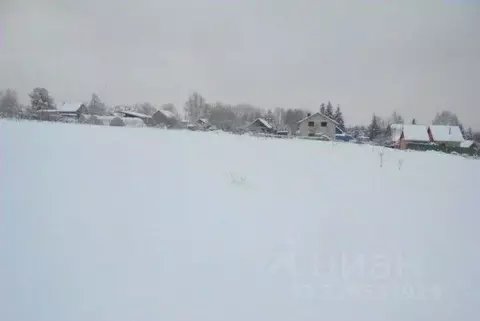 Участок в Московская область, Дмитровский муниципальный округ, с. ...