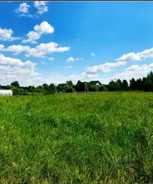 Участок в Нижегородская область, Богородский муниципальный округ, с. ...