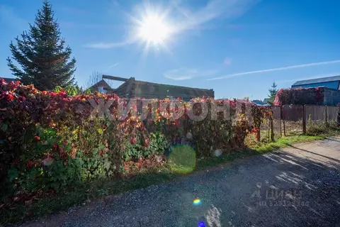 Участок в Новосибирская область, Новосибирский район, Кубовинский ...