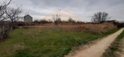 Участок в Крым, Сакский район, с. Орехово, Овощевод СНТ ул. Западная ...