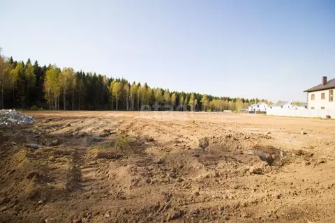 Участок в Калужская область, Калуга  (3.91 сот.)