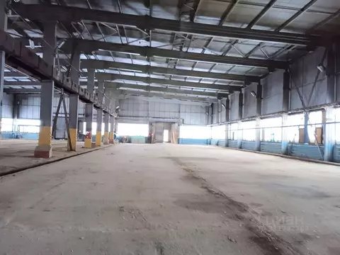 Производственное помещение в Пермский край, Березники Новосодовая ул., ...