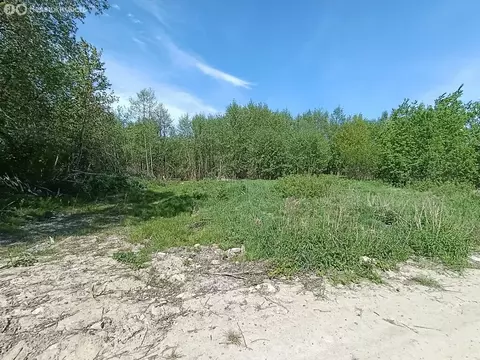 Участок в Калининградская область, Гурьевск (6 м)