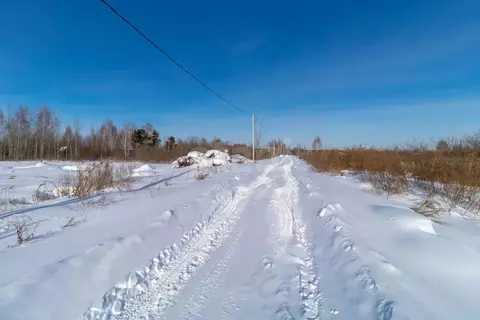 Участок в Тюменская область, Тюмень Поле Чудес садовое товарищество, ...