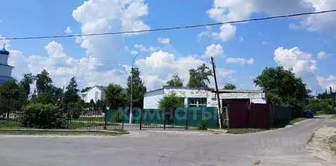 Помещение свободного назначения в Воронежская область, с. Репьевка ул. ...