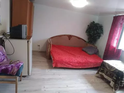 Студия Севастополь ул. Горпищенко, 90 (25.0 м)