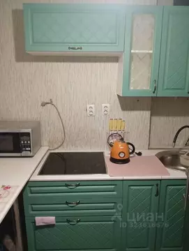 1-к кв. Псковская область, Великолукский район, Переслегинская ...