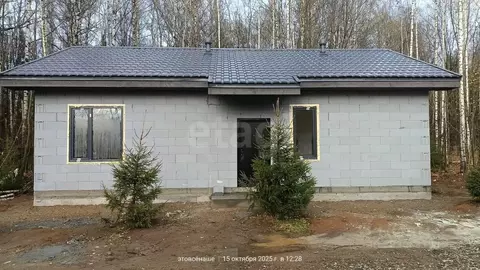 Дом в Пермский край, Пермь Золотистая ул., 41 (80 м)