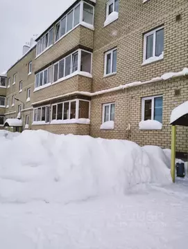 1-к кв. Пермский край, Пермь ул. Сакко и Ванцетти, 117 (30.4 м)