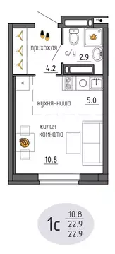 Студия Пермский край, Пермь Ижевская ул., 38 (22.9 м)