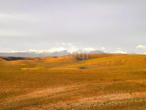 Участок в Алтай, Кош-Агачский район, Казахское с/пос, с. Жана-Аул ул. ...