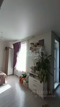 Студия Красноярский край, Красноярск ул. Алексеева, 46 (32.0 м)