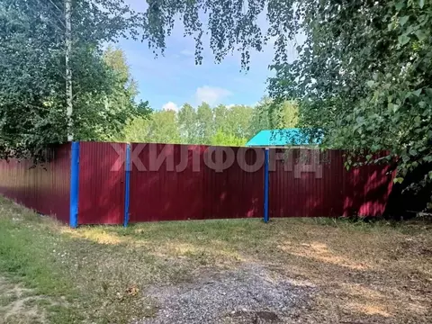 Дом в Новосибирская область, Новосибирский район, с. Ярково  (72 м)