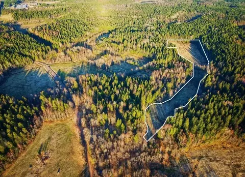 Участок в Ленинградская область, Выборгский район, Советское городское ...